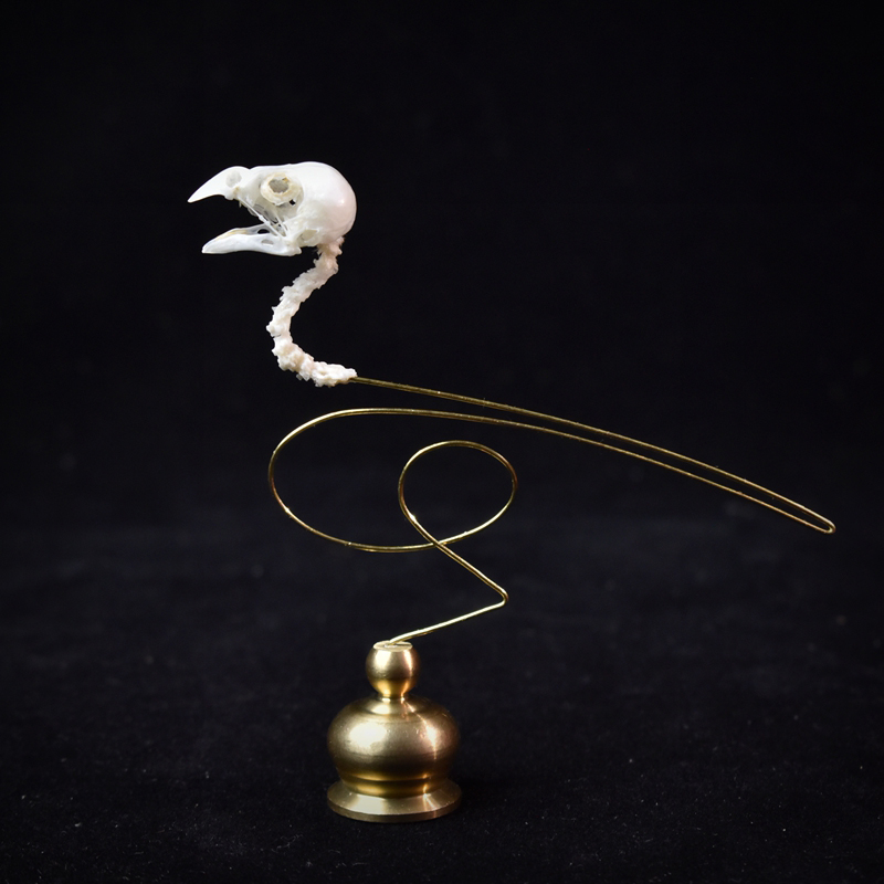 Art Craft Museum - 2111 Boutique Ethische Vogelschädel-Kunstskulptur mit Kupferakzenten,