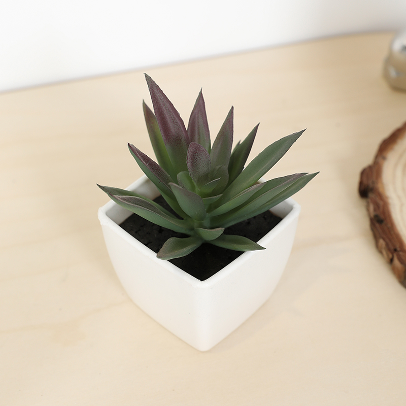 Art Craft Vase - Mini künstliche Sukkulenten-Feentasse, kleine Topfpflanze, weiße