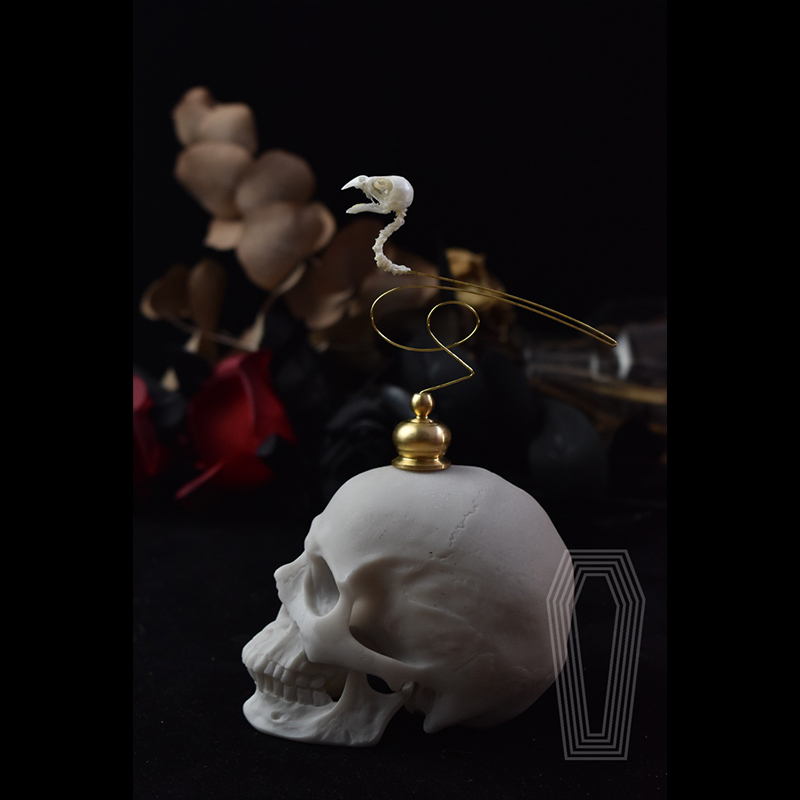 2111 Boutique Ethische Vogelsc – Art Craft Museum Bewertung und Preis