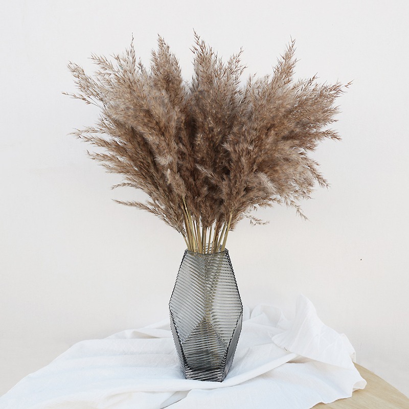 10 Stück Bunte Natürliche Schi – Art Craft Vase Bewertung und Preis