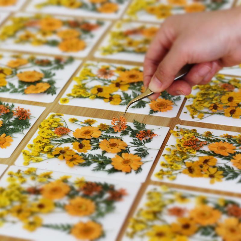 Echte Natürliche Gepresste Get – Art And Craft Nature Bewertung und Preis
