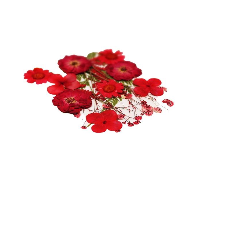 Echte Natürliche Gepresste Get – Art And Craft Nature Bewertung und Preis