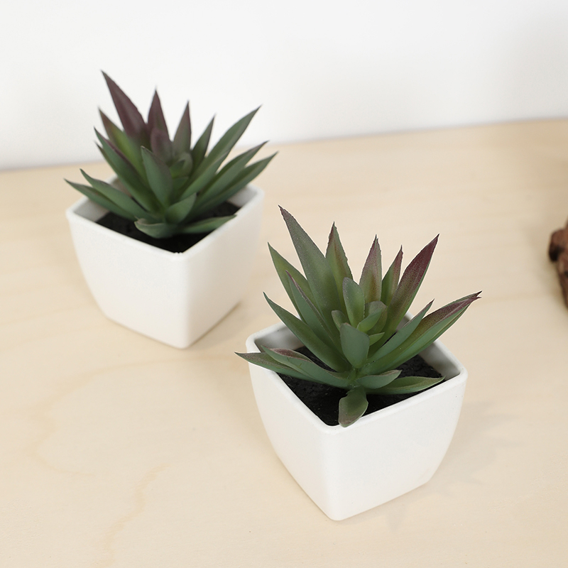 Mini künstliche Sukkulenten-Fe – Art Craft Vase Bewertung und Preis