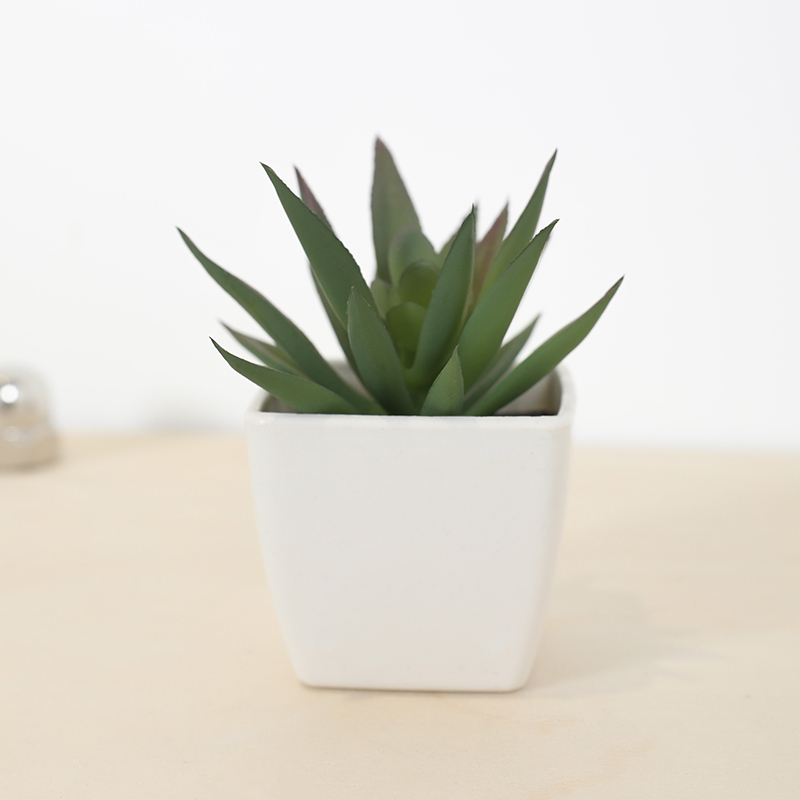 Mini künstliche Sukkulenten-Fe – Art Craft Vase Bewertung und Preis